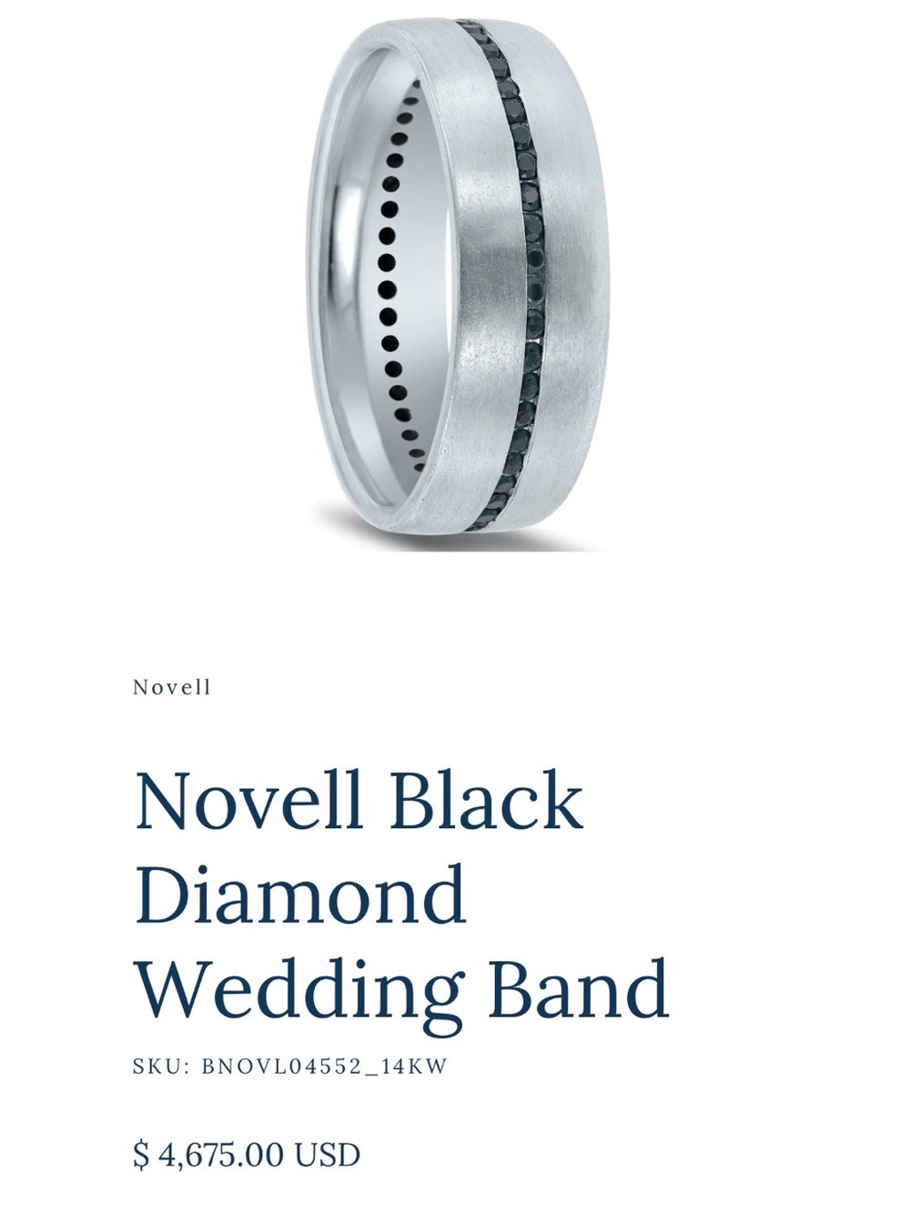 Black Diamond Wedding Band in Silver and Black